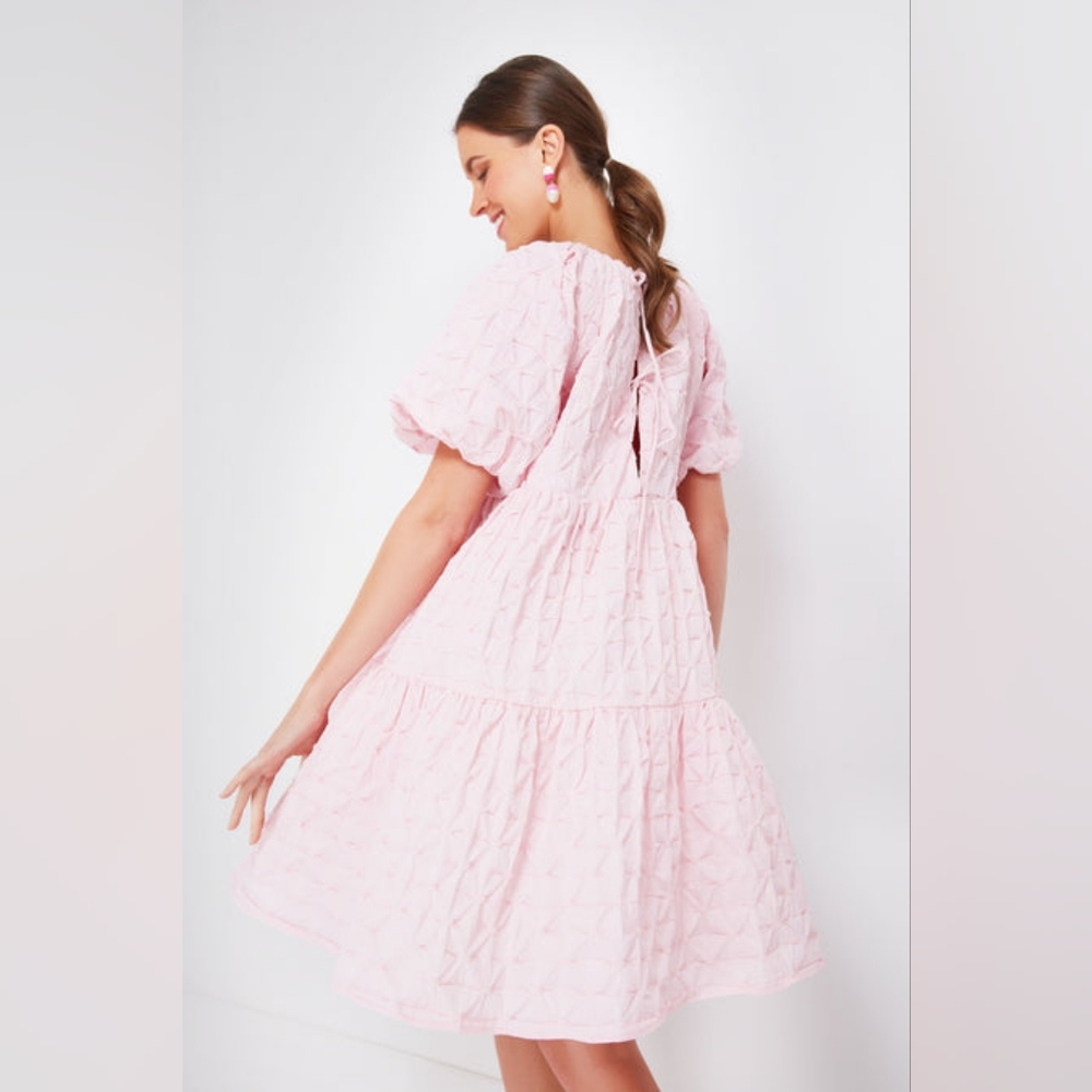 NWT Tuckernuck Hyacinth House Isabella in Pink Diamond Textured Mini Dress L - Picture 7 of 14